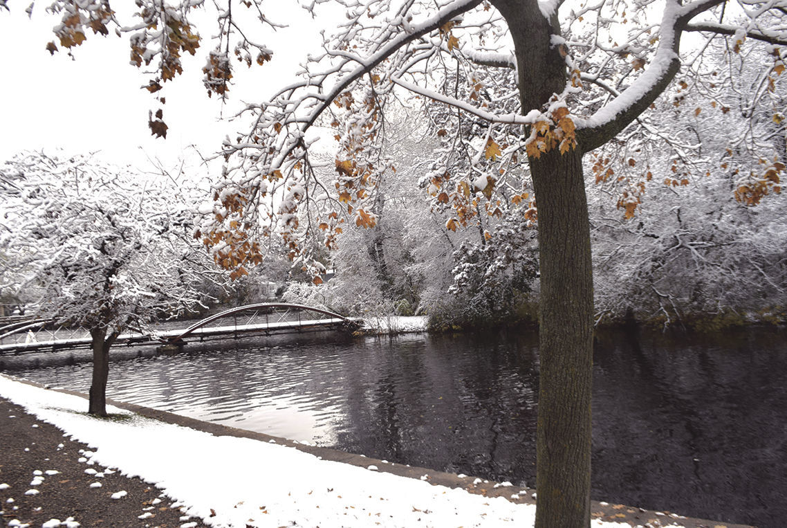 snow-fall